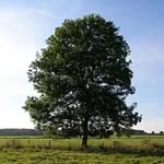 Ben Gilpin - @gilpin_ben - Instagram