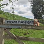 ben glynn - @benglynn05 - Instagram