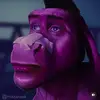 Ben Glynn - @galilmal - TikTok
