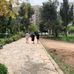 Benji Greenstein - Facebook