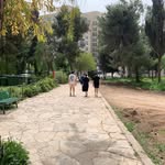 Benji Greenstein - @been.jamming - Instagram