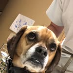 Bentley Greenstein - @bentleygreenstein1 - Instagram