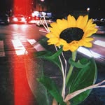 Benedetta 🌻 - @benedetta_grimaldi - Instagram