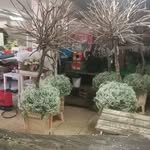 Benito Grimaldi - @benito_grimaldi - Instagram