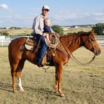 Ben Grogan Horsemanship - @bengroganhorsemanship - Instagram