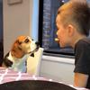 ben.guthrie - @ben.guthrie - TikTok
