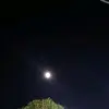 _Ben_guy - @_ben_guy - TikTok
