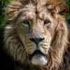 BenHallphotography - @benhallphotography - TikTok