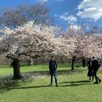 Ben Halliwell - @nenhalliwell - Instagram