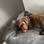 Benjamin Halliwell - Facebook