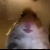 user6857623003928 - @benhalliwell15 - TikTok