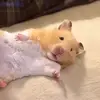Benham 🎀 - @benham.asmr - TikTok
