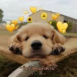 Ben_Hang - @benhang_ - Instagram