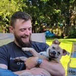 Ben & Hank - @not.a.donkey - Instagram
