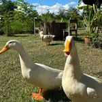 BEN - @benhankla - Instagram