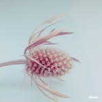 Ben Hanley - @ben.hanley - Instagram