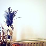 Ben Hannon - @benshsns2019 - Instagram