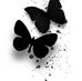 Ben Mohamed Hajer Hajer - Facebook