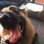 Ben Harbison - @harrybison - Instagram