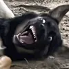 someone - @ben.harder - TikTok