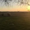 Ben Hardesty563 - @psych122 - TikTok