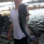 Ben Hardesty - @ben_hardesty.0 - Instagram
