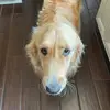 ben_hardestyy - @ben_hardestyy - TikTok