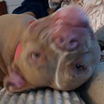 Ben Hardman - @ben.hardman.526 - Instagram