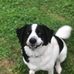 Ben Harkins - Facebook