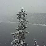 Benny Harless - @bennyharless - Instagram