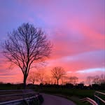 Ben harms - @harms7203 - Instagram