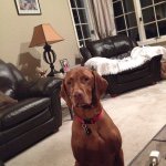 Ben Harms - @benharms630 - Instagram