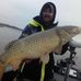 Ben Harp - Facebook