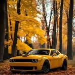 Ben Hartz - Facebook