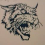 ben harvel - @benharvel - Instagram