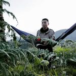 Ben Hassell - @benhassell - Instagram