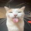 Ben - @ben_hastings - TikTok