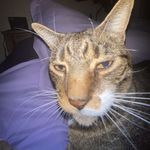 Ben Hastings - @ben.hastings77 - Instagram
