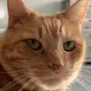 ben - @benhaug22 - TikTok