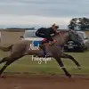benjahauser⚡️ - @benja.hauser - TikTok
