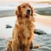 Ben Hausler - Facebook