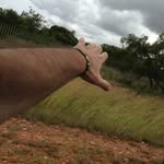 Ben Chaouch - @benhaven_ - Instagram
