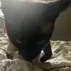ben_havens - @ben_havens - TikTok