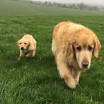 Ben hawke - @ben_hawkey14 - Instagram