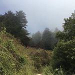 Ben Hayden - @b_hayden_ - Instagram
