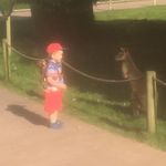 Ben Hayman - @ben.hayman.9 - Instagram