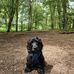 Ben Hayward - Facebook