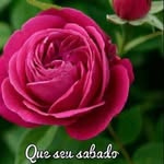 Helder Zacarias Benge - @bengehelder - Instagram