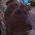 Ben Herring - Facebook