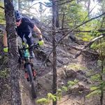 Ben Herrington - @benherrington_ - Instagram